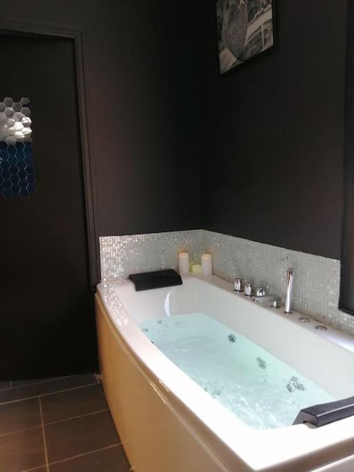 Appartement Avec Sauna Et Balneo Privatifs -Troyes Centre Dış mekan fotoğraf