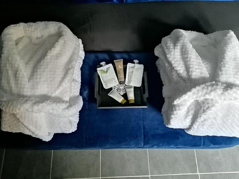 Appartement Avec Sauna Et Balneo Privatifs -Troyes Centre Dış mekan fotoğraf